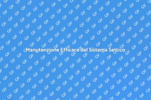 Assistenza Personalizzata Sistema Settico
