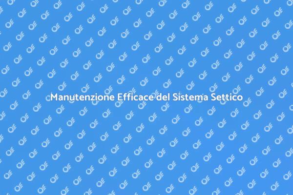 Importanza dell'Assistenza Settico