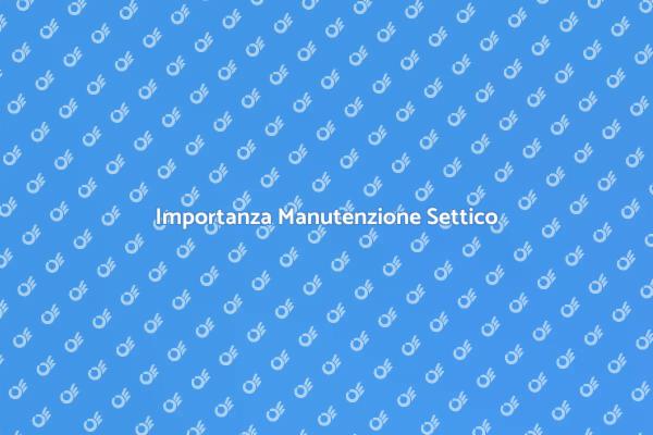 Manutenzione Essenziale per il Settico