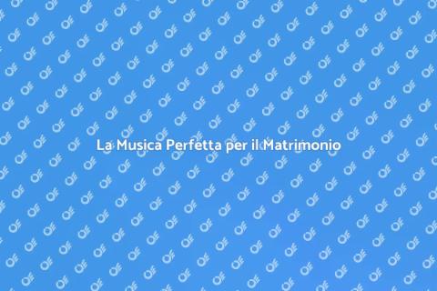 Musicista per Cena Nuziale Indimenticabile