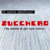 Zucchero Ceramiche 
