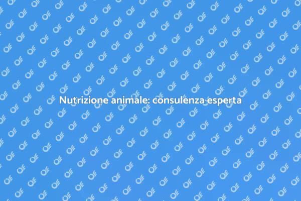 Nutrizione per animali: perché un esperto?