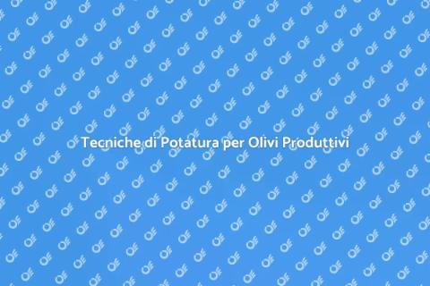Potatura dell'Olivo: Guida alla Qualità