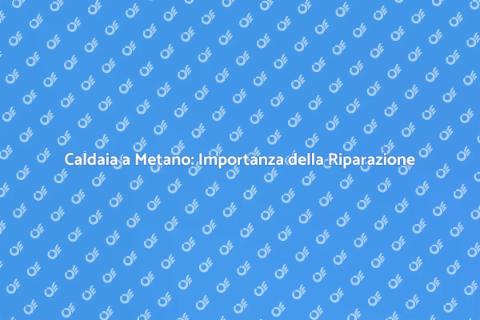 Riparazione Caldaia a Metano Essenziale