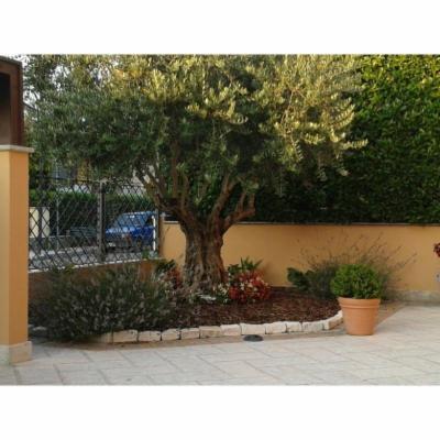 Il Giardino  - Foto 3