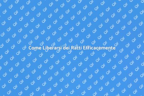 Disinfestare i Ratti in Casa
