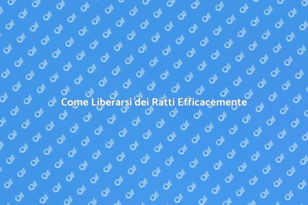 Ratti in Casa? Ecco Come Liberarsene