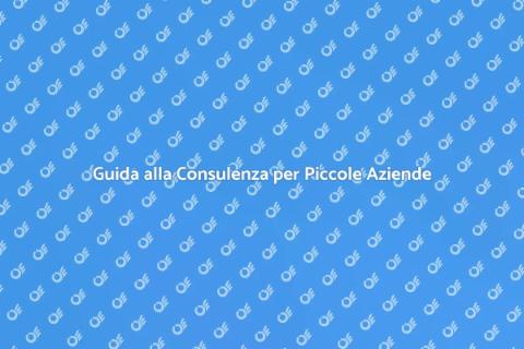 Consulenza Finanziaria per Piccole Imprese