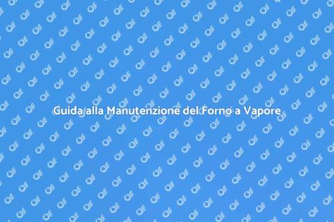Manutenzione Forno a Vapore Pyrolytic