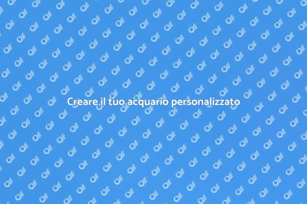 Acquari vivaci e armoniosi per la tua casa