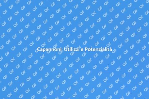 Capannoni: Spazi Versatili per Ogni Uso