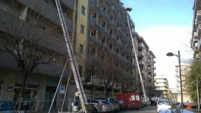 Traslochi L.A.M. Service  - Foto 8