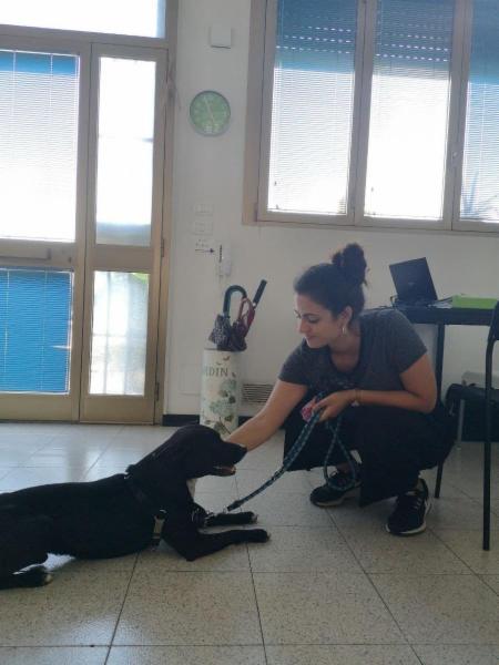 Sofia Marzano - Foto 4
