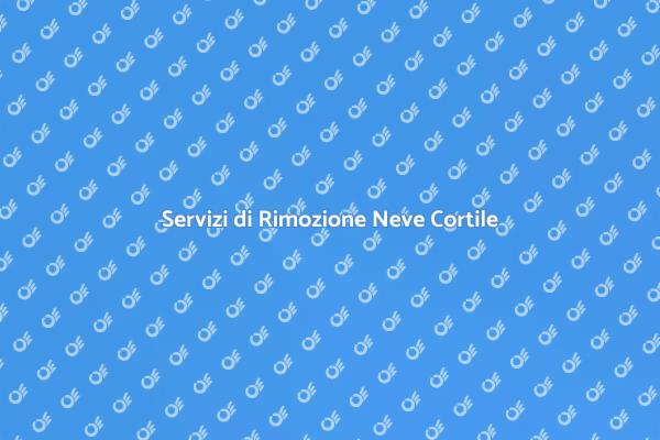 Gestisci la Neve nel Tuo Cortile