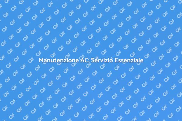 Manutenzione dell'AC: Servizio Indispensabile