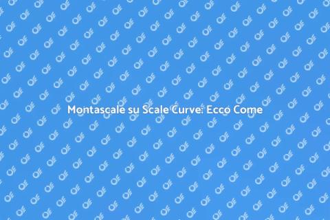 Montascale per Scale Curve: Guida