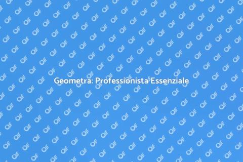 Geometra: Il Tuo Alleato Edilizio