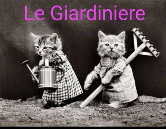 LE GIARDINIERE G. D. - Foto 1
