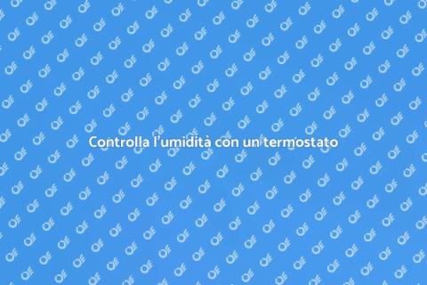 Termostato con sonda per umidità