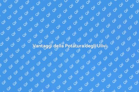 Potatura Olivi: Guida Essenziale