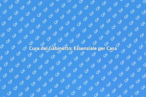 Manutenzione Gabinetto: Fondamentale Casa