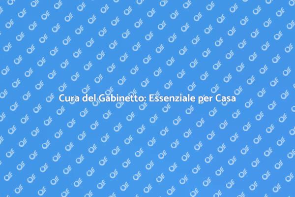 Mantenere il Gabinetto: Guida Pratica