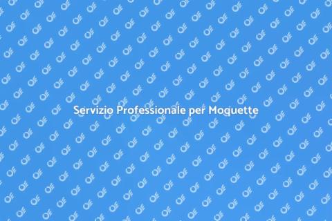 Pulizia e Riparazione della Moquette