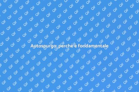 Autospurgo: il servizio indispensabile