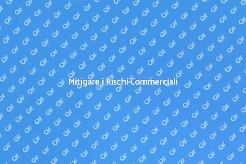 Analisi dei Rischi Commerciali