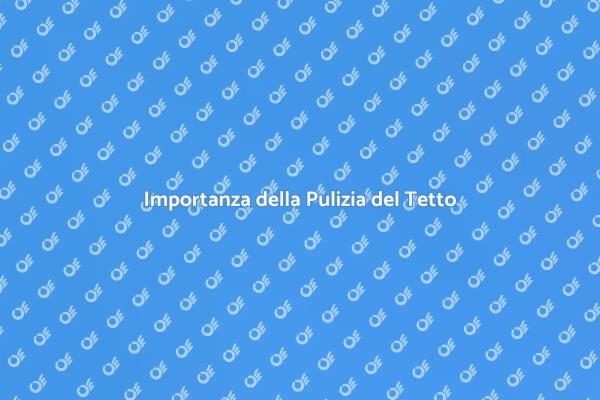 La Fondamentale Pulizia del Tetto