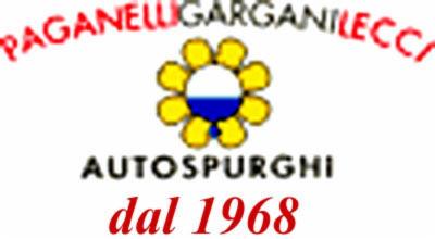 Autospurgo Paganelli - Gargani - Lecci Sas  - Foto 2
