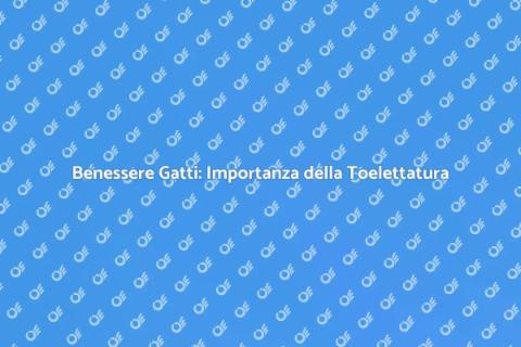 Toelettatura Gatti: Cura e Benessere