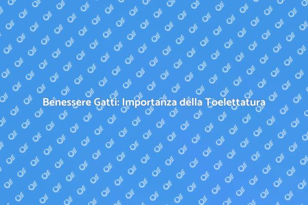 Toelettatura: Essenziale per il Tuo Gatto