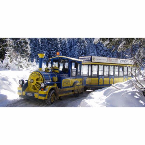 Dotto Rail And Road Trains  - Foto 7