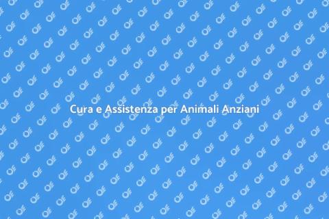 Assistenza per Animali Anziani
