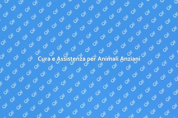 La Dolce Vita per i Tuoi Animali Anziani