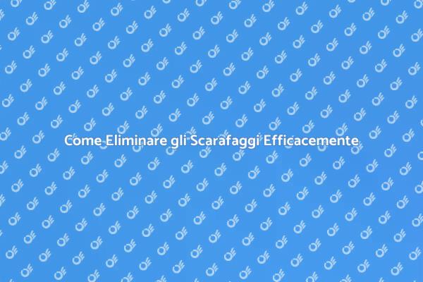 Liberati dagli Scarafaggi Oggi Stesso