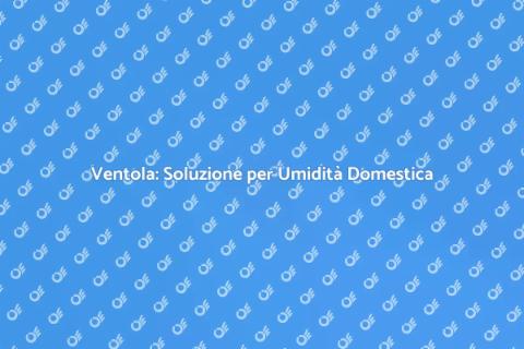 Ventola per il Controllo dell'Umidità