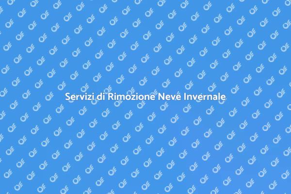 Rimozione Neve: Strade Sempre Sicure