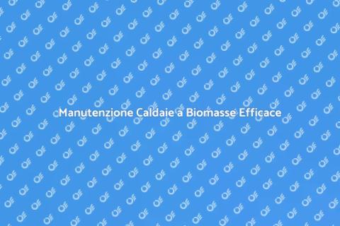 Revisione Caldaie a Biomasse Facile
