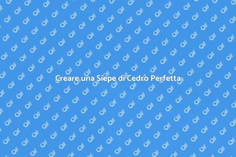 Siepe di Cedro: Giardino da Sogno
