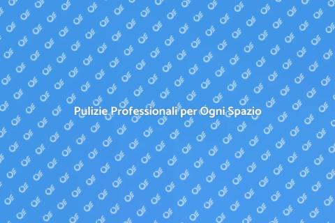 Impresa di Pulizie Specializzata
