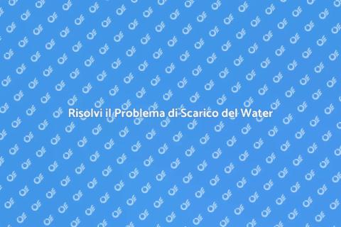 Disostruzione del Water in Bagno