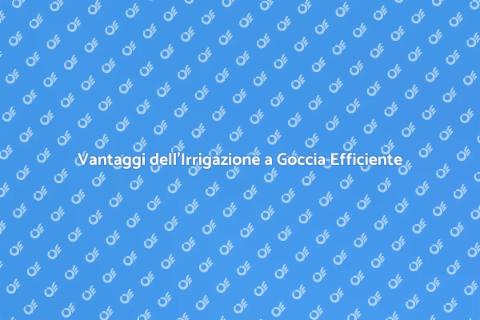 Irrigazione a Goccia: Vantaggi e Soluzioni