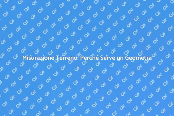 Perché Scegliere un Geometra?
