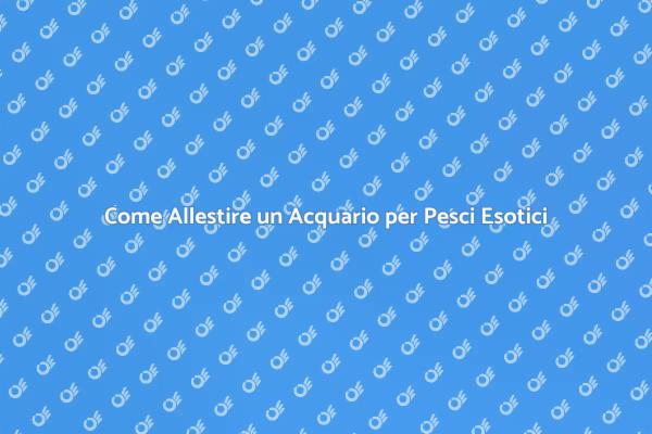 Crea il Tuo Acquario per Pesci Esotici