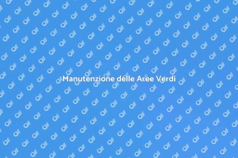 Pulizia Parchi e Aree Verdi