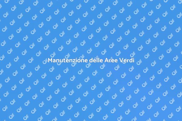 Riflessioni sulla Pulizia dei Parchi