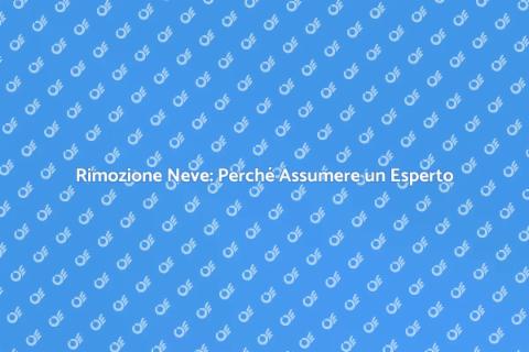 Assumere un Professionista Neve