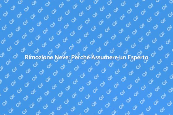 Trasforma l'Inverno: Rimozione Neve